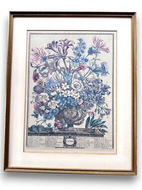 Robert Furber Twelve Months Of Flowers October Botanical Framed Print Vintage